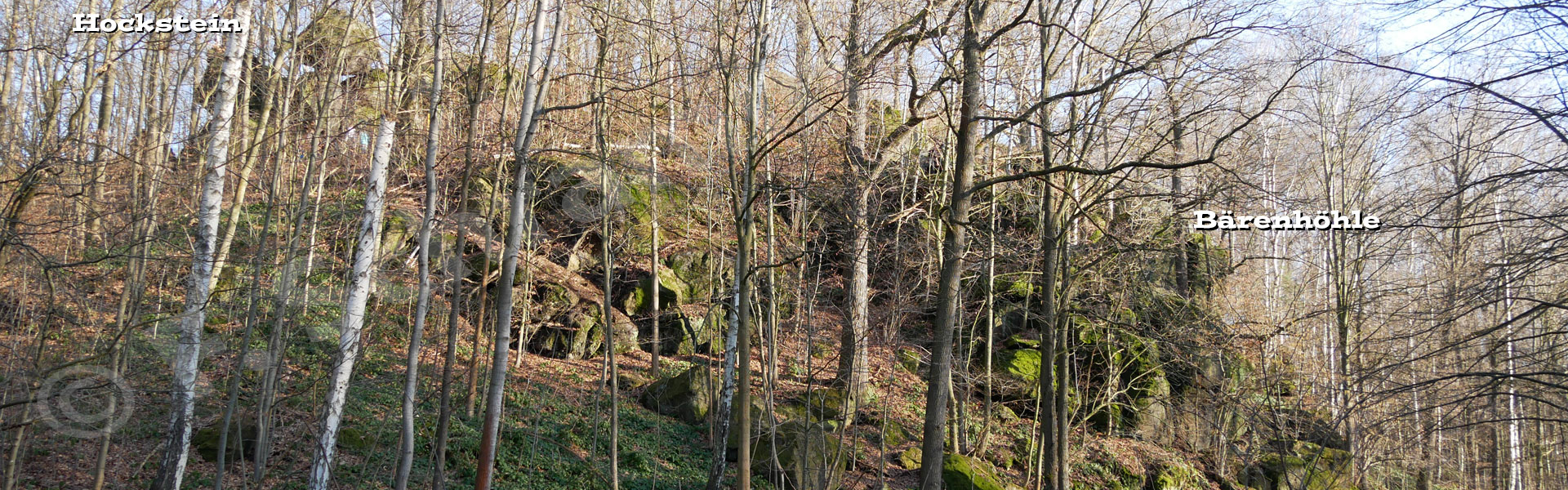 Blick zum Felsmassiv mit dem Hockstein und der Bärenhöhle (2021)